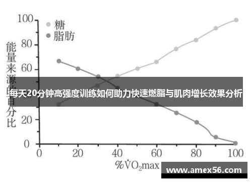 每天20分钟高强度训练如何助力快速燃脂与肌肉增长效果分析
